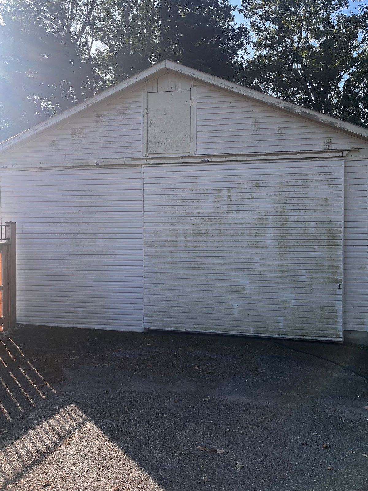 Green algae growth across a garage door and its siding before washing