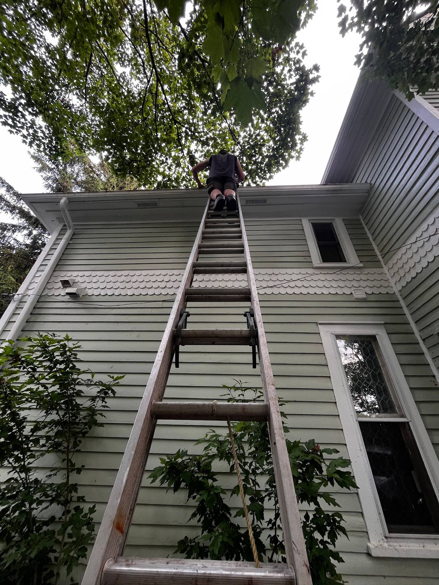 Extension ladder reaching the eavestrough on a two-storey home