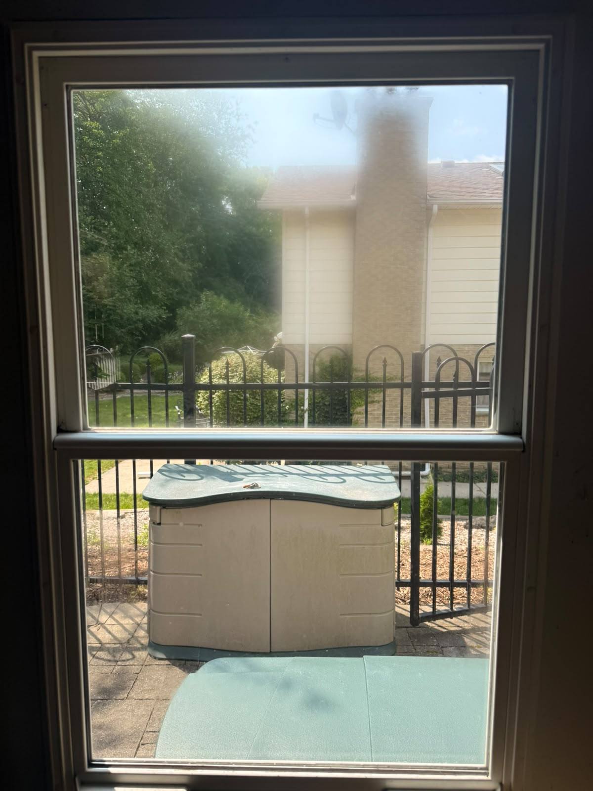 Clean window looking out over the back yard
