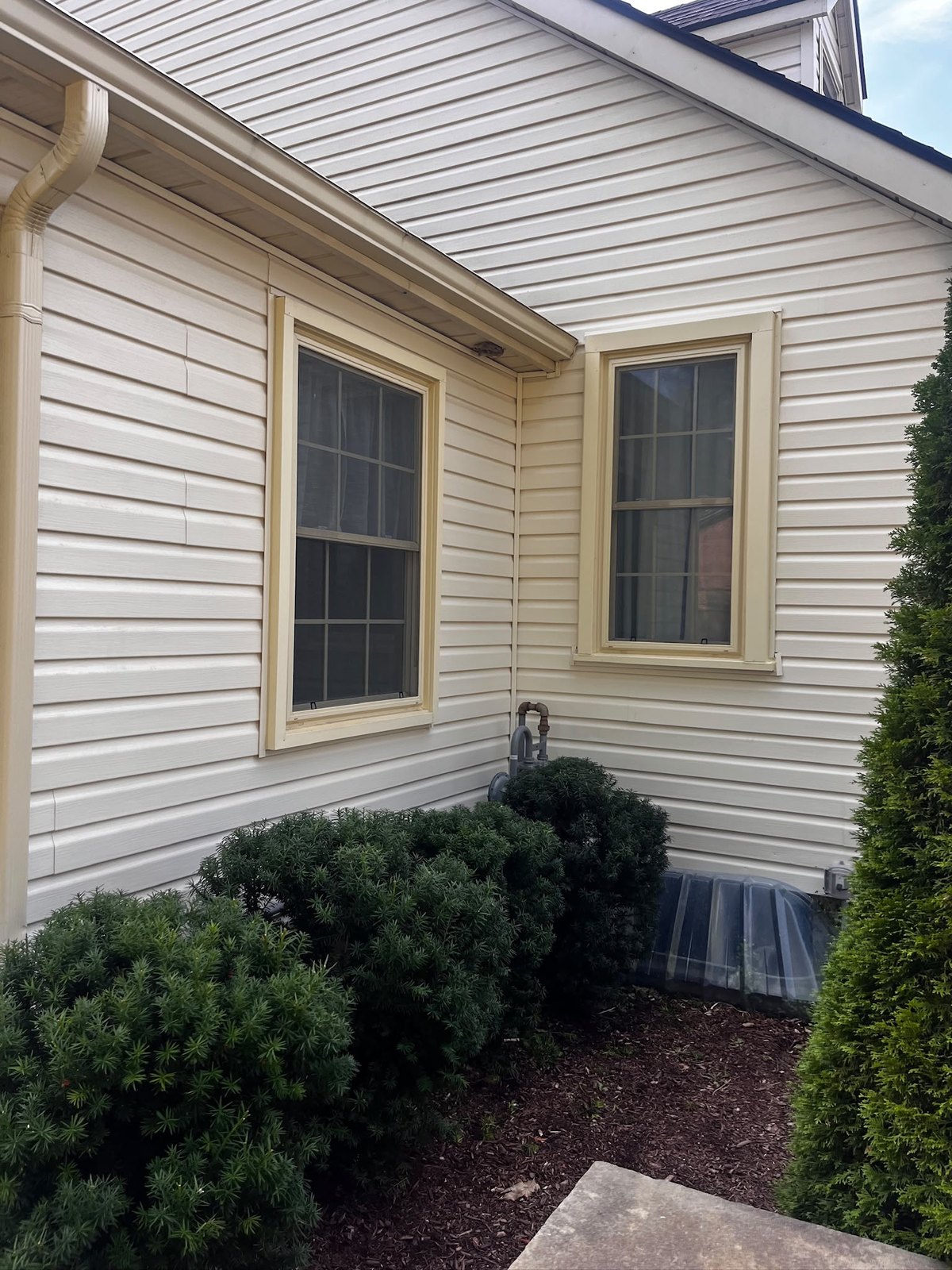 The same wall of siding clean after a soft wash