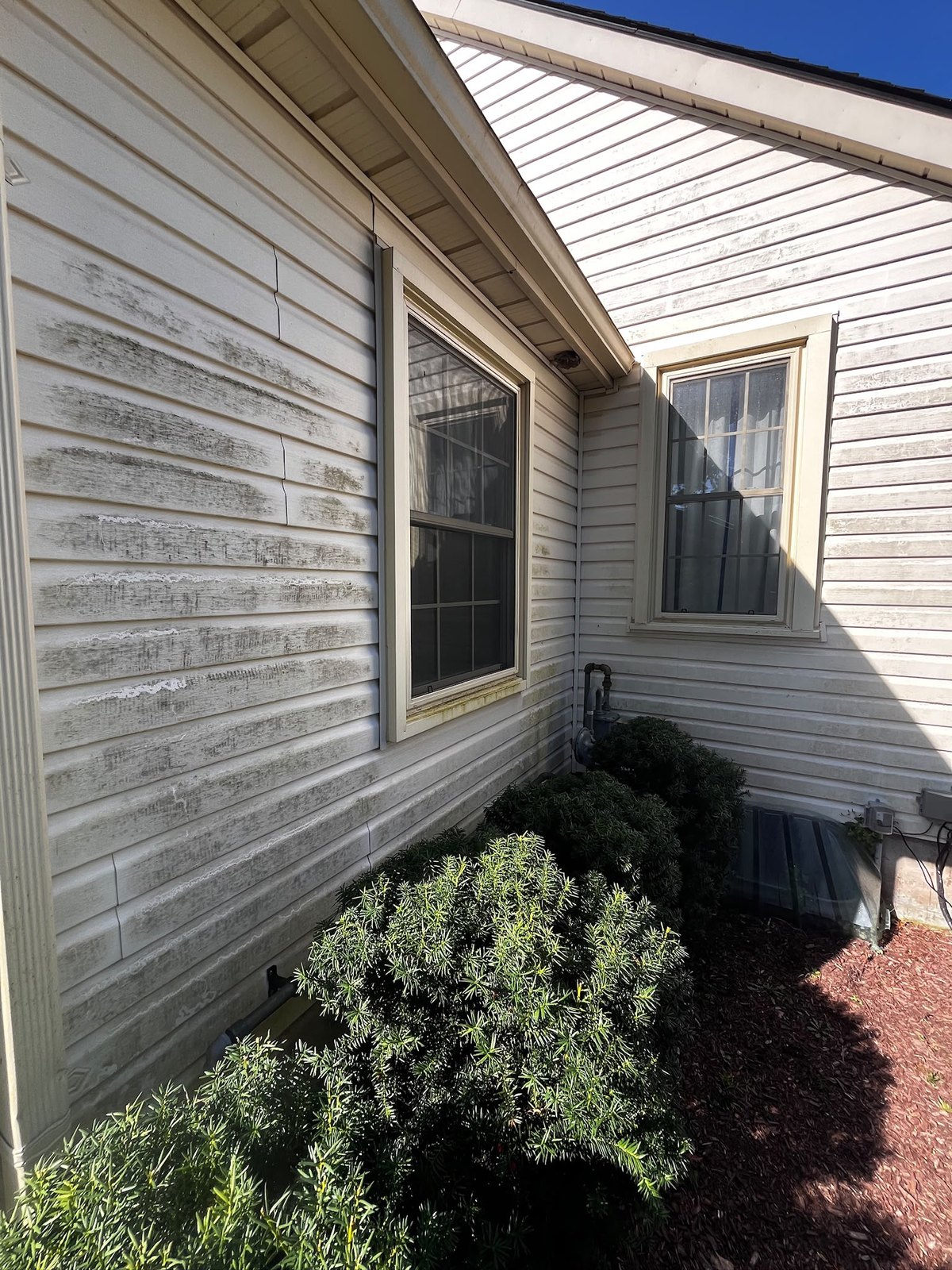 Vinyl siding streaked with algae and black run-off before a house wash