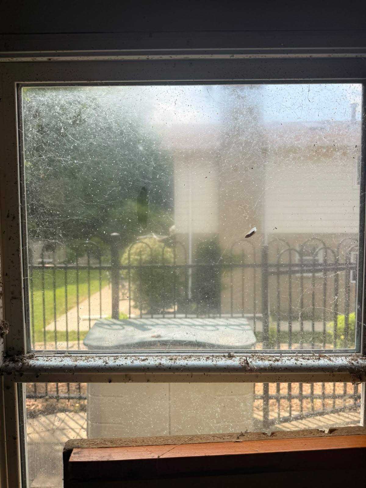 Window and screen after cleaning